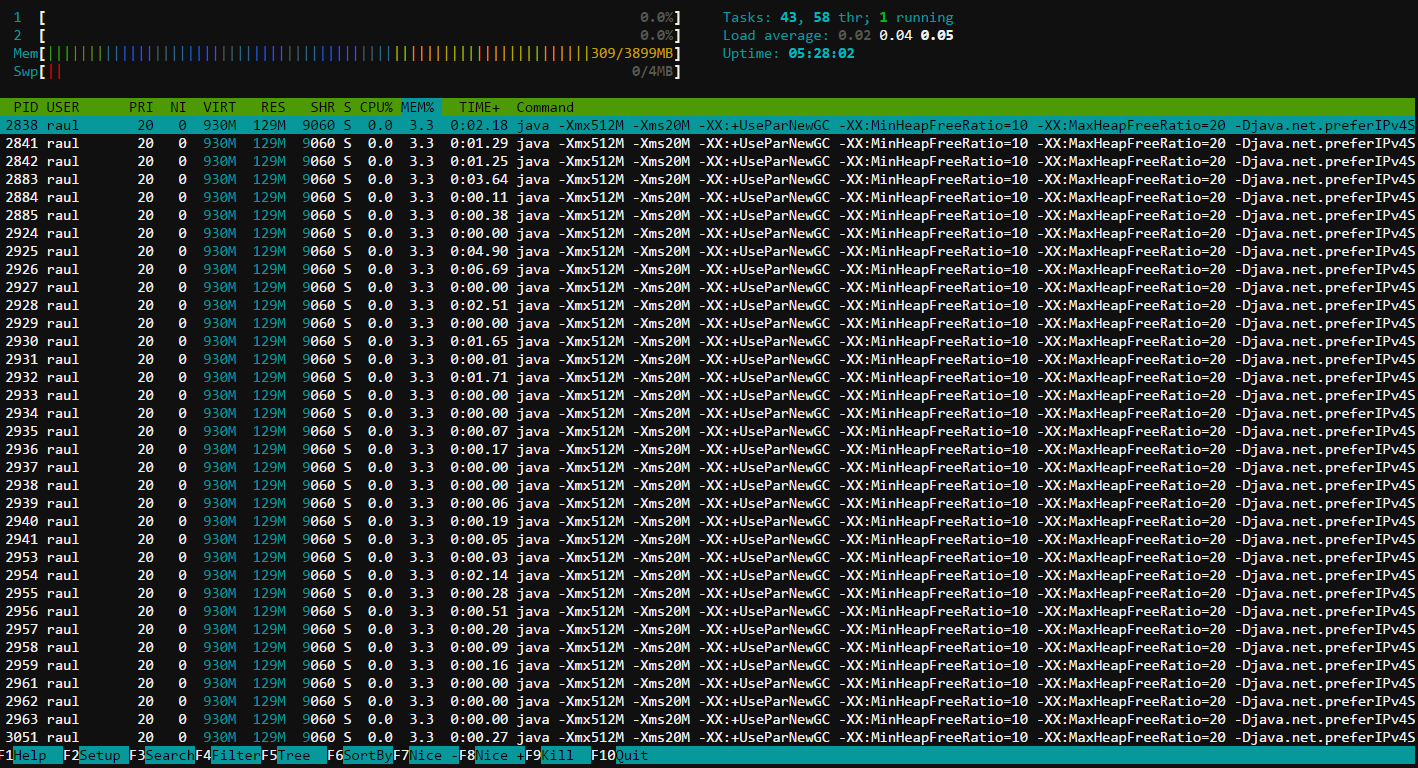 htop.png